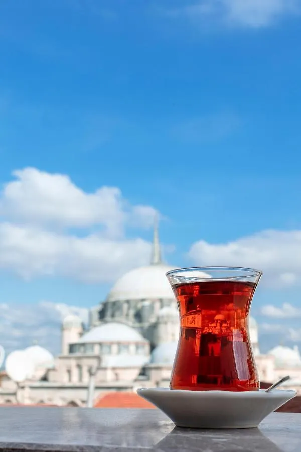 Danis Hotel & Spa Istanbul - Old City