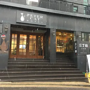 Отель Petercat Shinchon